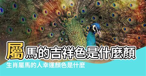 生肖馬顏色|【屬馬 顏色】屬馬的人注意了！2024年讓你運勢爆棚的幸運顏色。